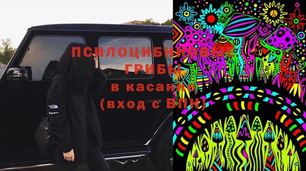 PSILOCYBIN Карталы