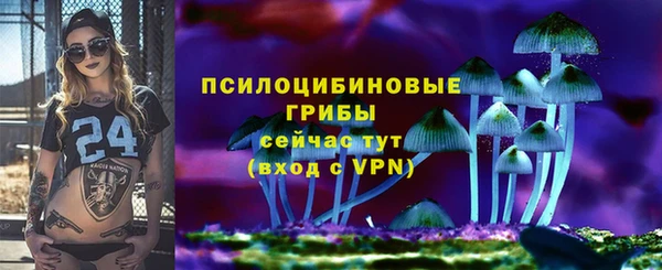 соль ск Алексин