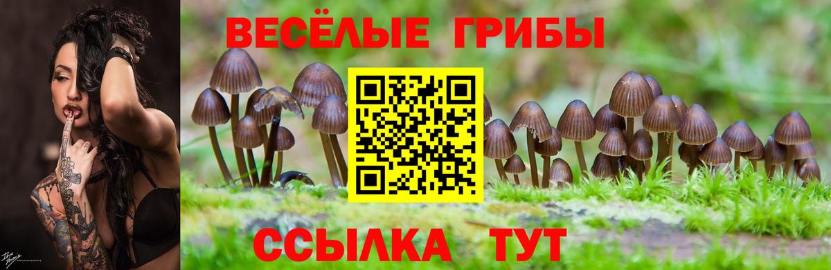 Галлюциногенные грибы прущие грибы Чебаркуль