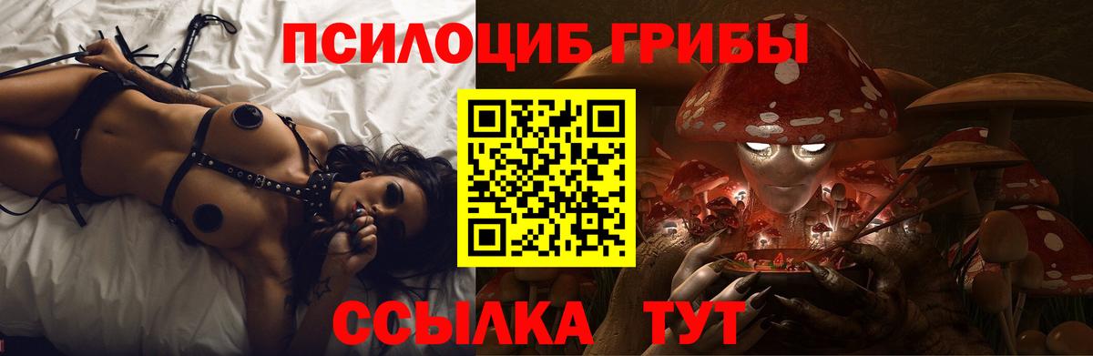 Галлюциногенные грибы MAGIC MUSHROOMS  Вход с VPN  Чебаркуль 